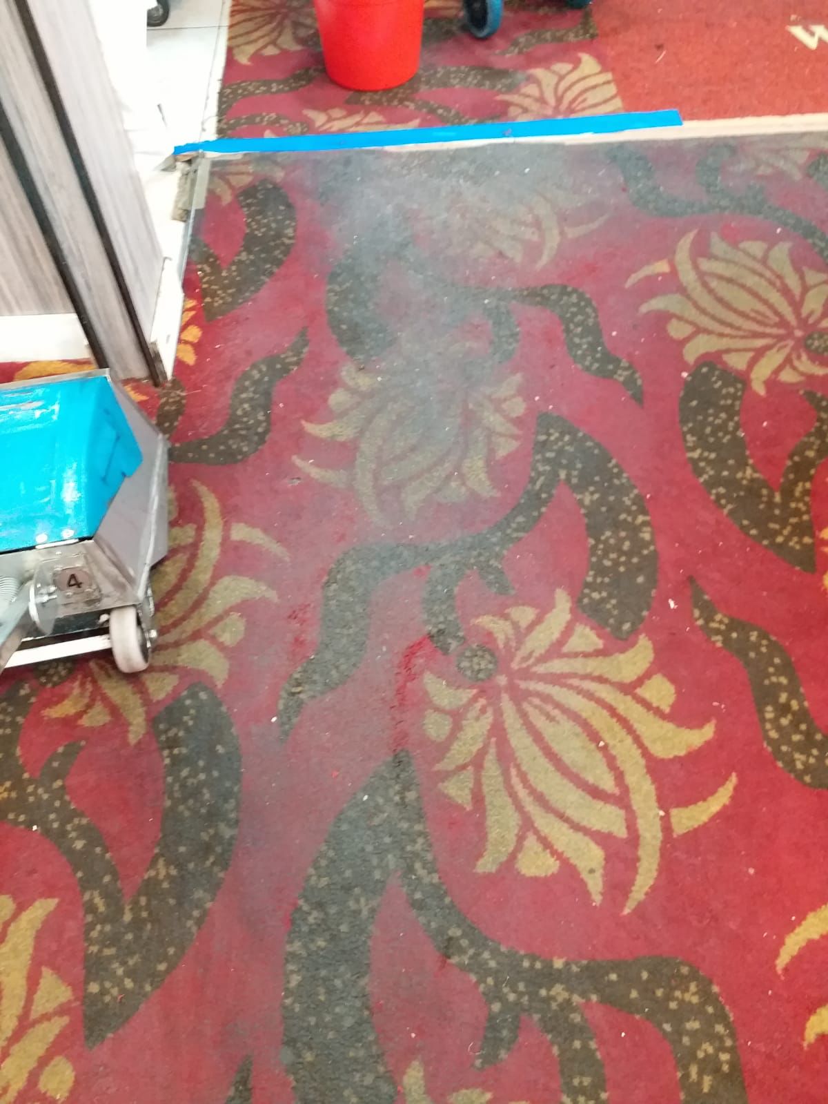 Carpet cleaning and maintenance