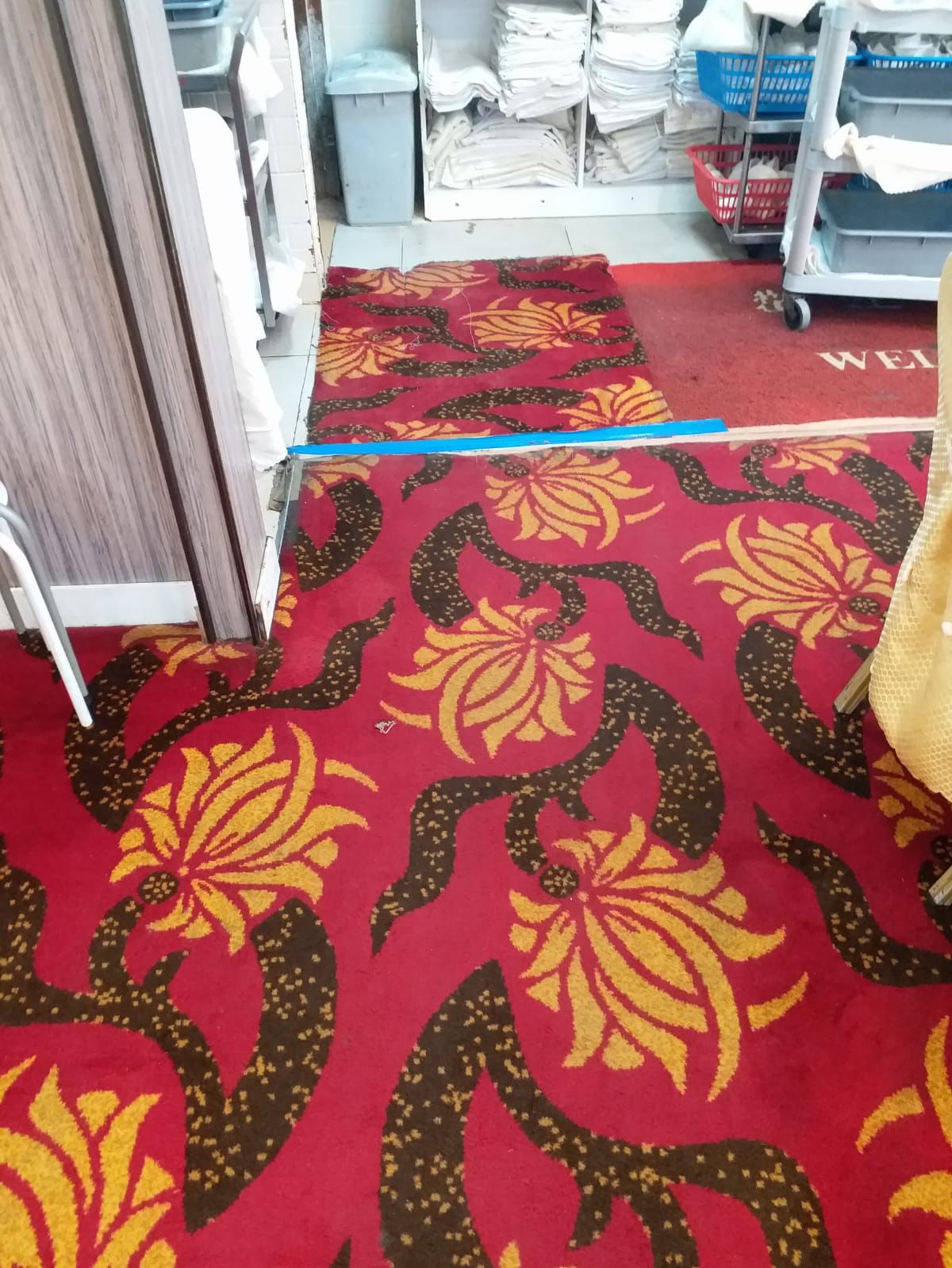 Carpet cleaning and maintenance