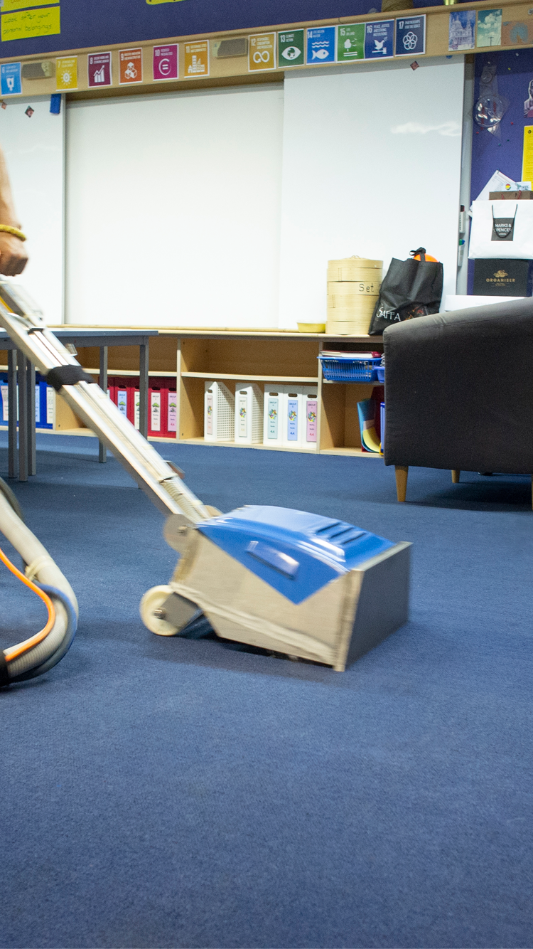 Professional Carpet Cleaning Service